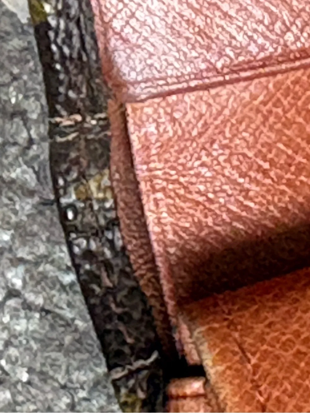 Auth Louis Vuitton Monogram Bi-fold Wallet  Men’s Vintage